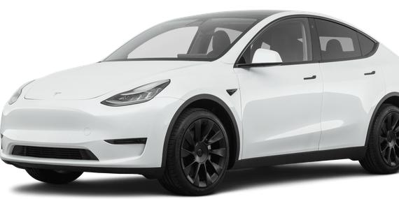 TESLA MODEL Y 2021 5YJYGDEE0MF144214 image